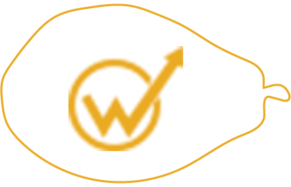 W Brand - Pay per click advertising agency in Pune work